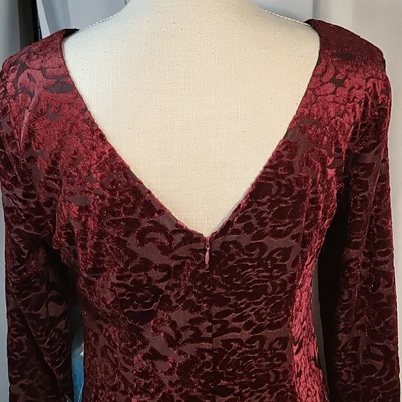 SLNY Deep Red Velvet Dress - Picture 5 of 7